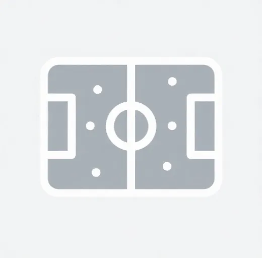 大小球指数信息示意图